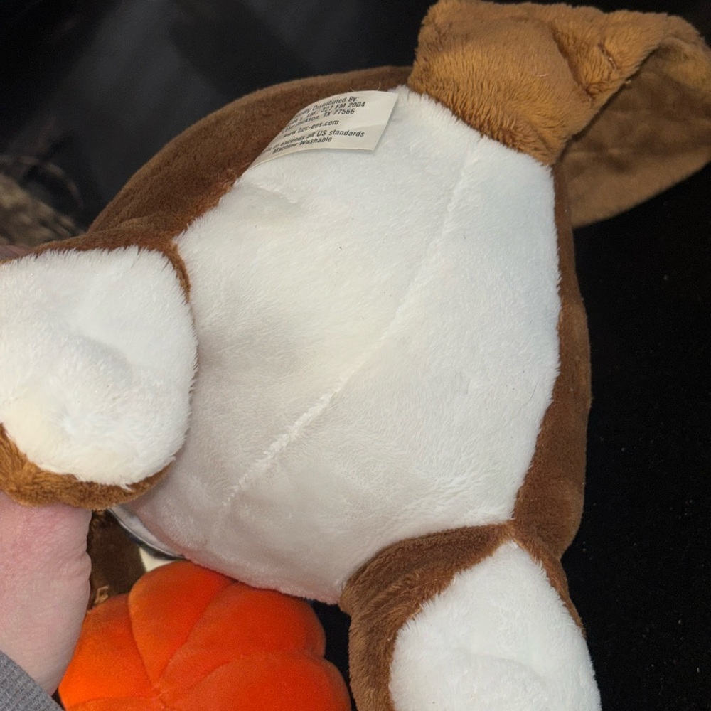 🔥 SOLD🔥Buc-ee's Halloween Beaver Plush - Picture 6 of 6